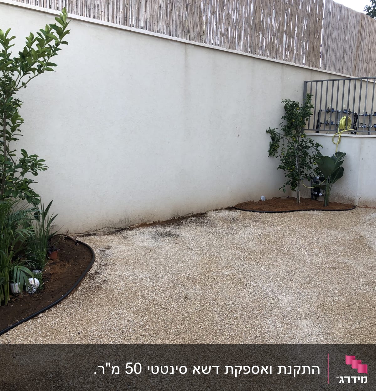 עצים ושיחים בגינה עם צינור השקיה על הקרקע